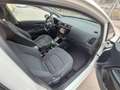 Kia Rio Rio III 2011 5p 1.2 Cool eco Gpl Bianco - thumbnail 12