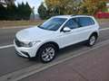 Volkswagen Tiguan 2.0 TDi SCR 4Motion Life Business DSG 1°EIG. !! Wit - thumbnail 3