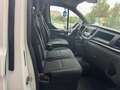 Ford Transit Custom 2.0TDCi 130 MHEV Passo Lungo T.Alto Furgone Trend Bianco - thumbnail 13