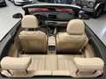 Audi A5 Cabriolet S LINE VIRT/LED/LEDER/KAM/TOT/19ALU Rouge - thumbnail 12