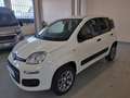 Fiat Panda 1.3 mjt 16v 4x4 5 posti Blanco - thumbnail 2