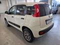 Fiat Panda 1.3 mjt 16v 4x4 5 posti Bianco - thumbnail 5