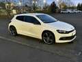 Volkswagen Scirocco 2.0 TDI BMT 103 kW Match Weiß - thumbnail 2