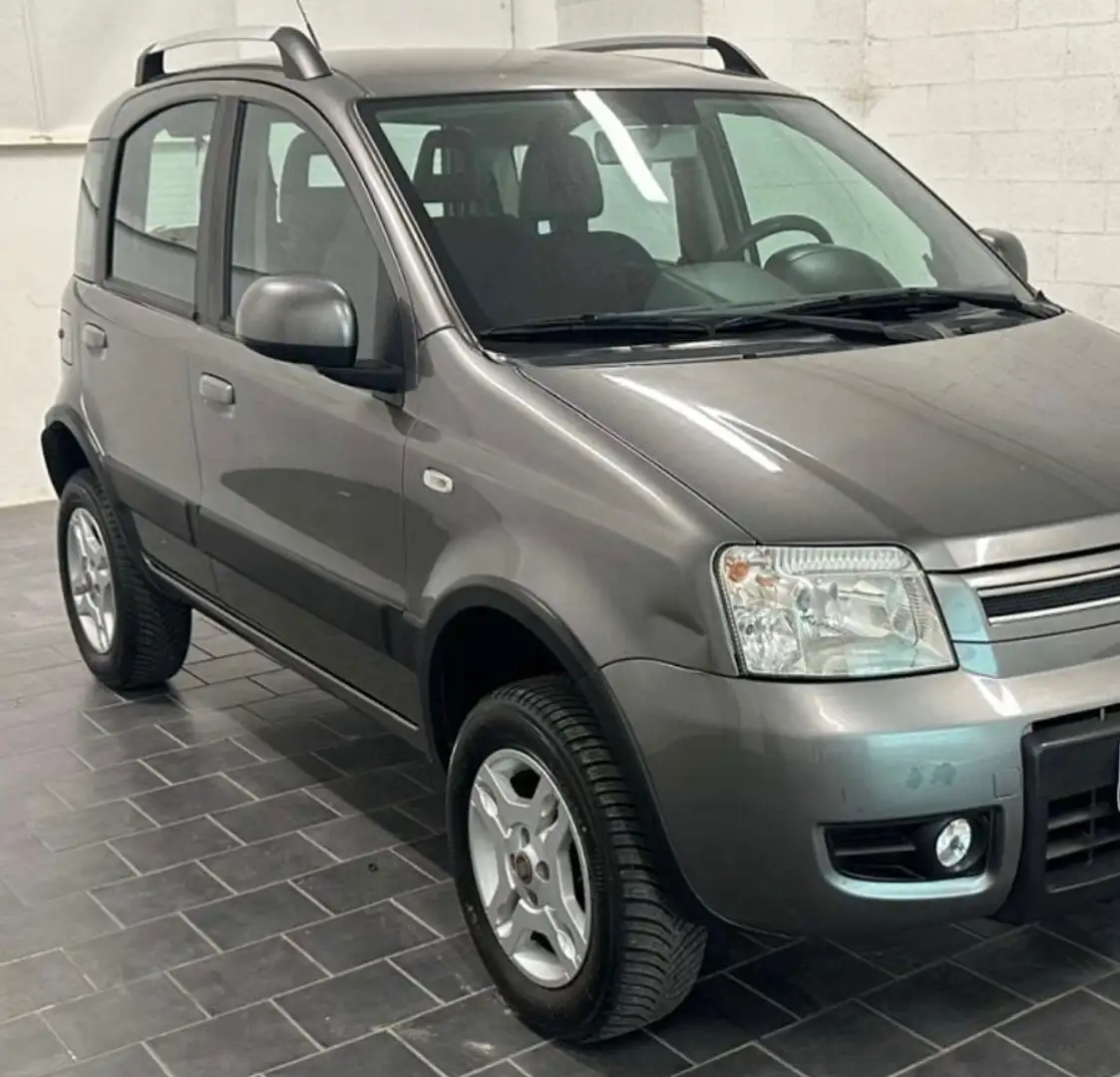 Fiat Panda Panda 1.3 mjt 16v 4x4 75cv Grigio - 1