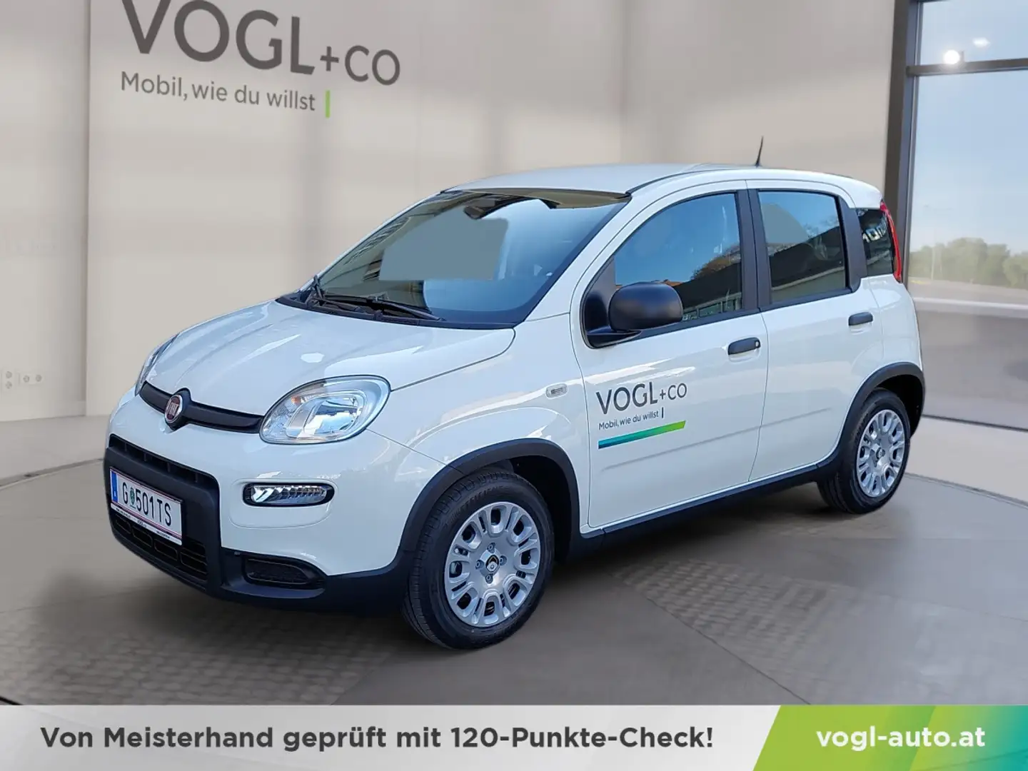 Fiat Panda FIREFLY HYBRID 70PS Blanco - 1