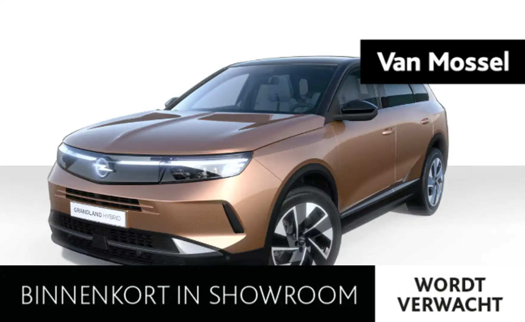 Opel Grandland GS Electric 83-kWh | NIEUW | NU TE BESTELLEN! Bruin - 1