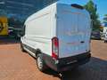 Ford Transit Kasten 350 L2H2 Trend Rückfahrkamera PDC Wit - thumbnail 3