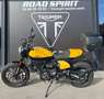 Ducati Scrambler Jaune - thumbnail 2