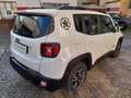 Jeep Renegade Renegade 1.0 t3 Business 2wd SOLO KM. 53.000 Wit - thumbnail 3
