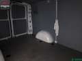 Mercedes-Benz Vito Vito 114 CDI KASTEN LANG STANDHZ,SPURPAKET,KLIMA Blanc - thumbnail 11