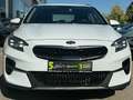 Kia XCeed 1.6 CRDI Vision *Navi*Klimaautomatik* Blanc - thumbnail 3