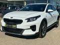 Kia XCeed 1.6 CRDI Vision *Navi*Klimaautomatik* Blanc - thumbnail 5