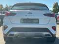 Kia XCeed 1.6 CRDI Vision *Navi*Klimaautomatik* Blanc - thumbnail 7