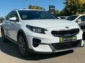 Kia XCeed 1.6 CRDI Vision *Navi*Klimaautomatik* Blanc - thumbnail 2
