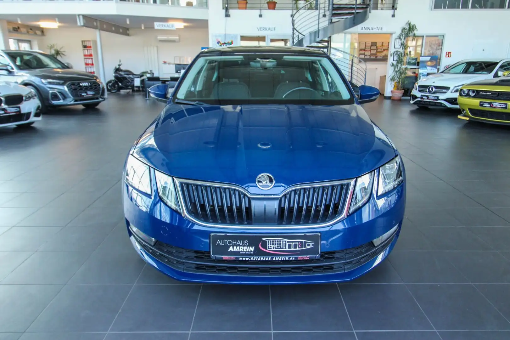 Skoda Octavia Drive/Business Columbus/Schiebedach/ACC Bleu - 2