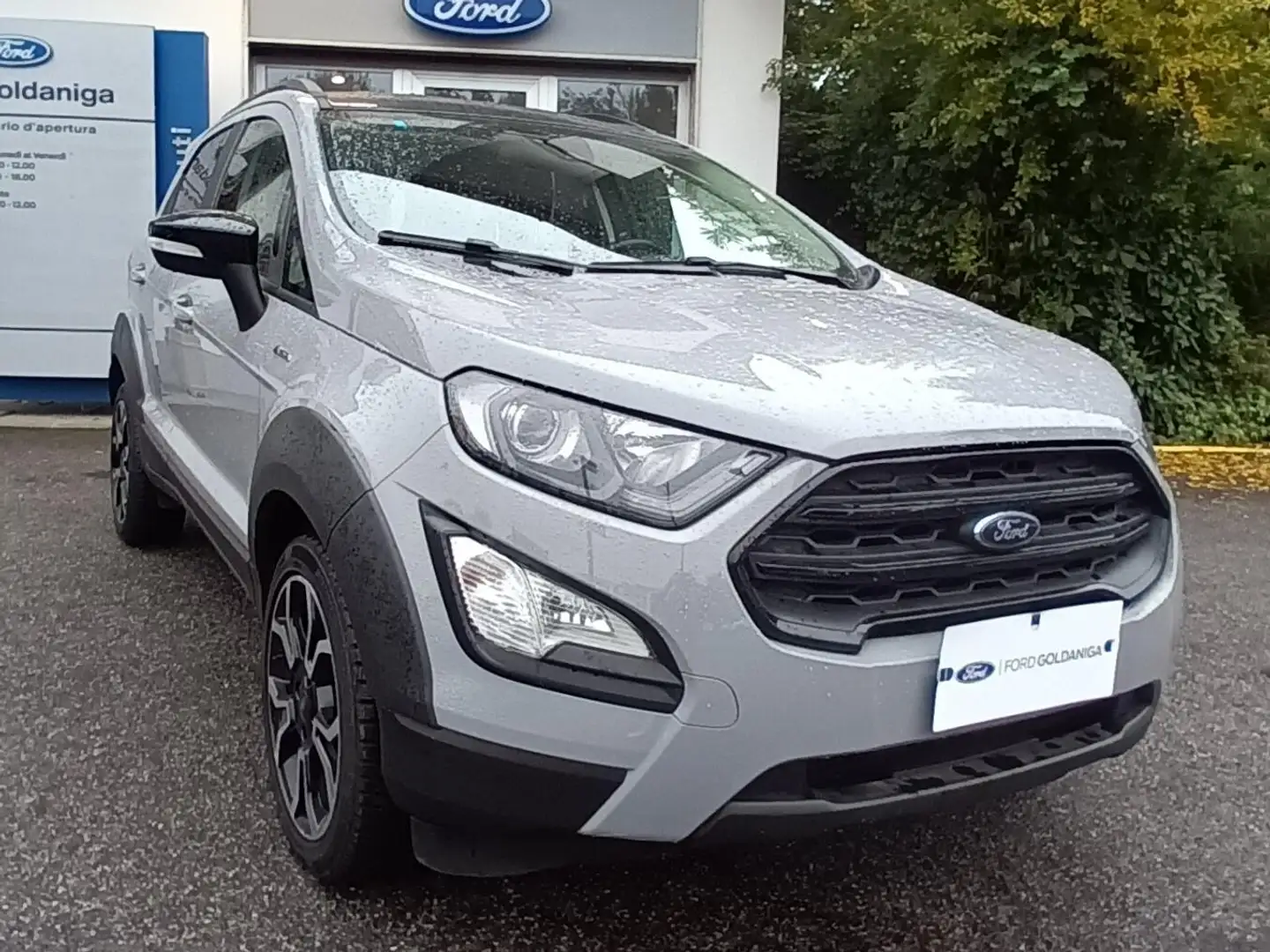 Ford EcoSport ECOSPORT 1.0 ECOBOOST 125CV ACTIVE Grigio - 1
