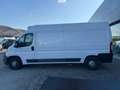 Fiat Ducato Ducato 35 2.3 MJT 130CV PLM-TM Furgone Bianco - thumbnail 5