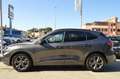 Ford Kuga 1.5 EcoBlue 120 CV 2WD ST-Line Grau - thumbnail 5