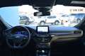 Ford Kuga 1.5 EcoBlue 120 CV 2WD ST-Line Grau - thumbnail 7