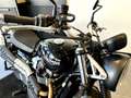 Triumph Scrambler Noir - thumbnail 17