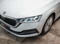 Skoda Octavia Premium *DSG*Virtual*LED*MwSt* Blanco - thumbnail 6
