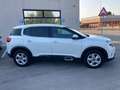 Citroen C5 Aircross C5 Aircross BlueHDi 130 S&S EAT8 Business Blanc - thumbnail 5