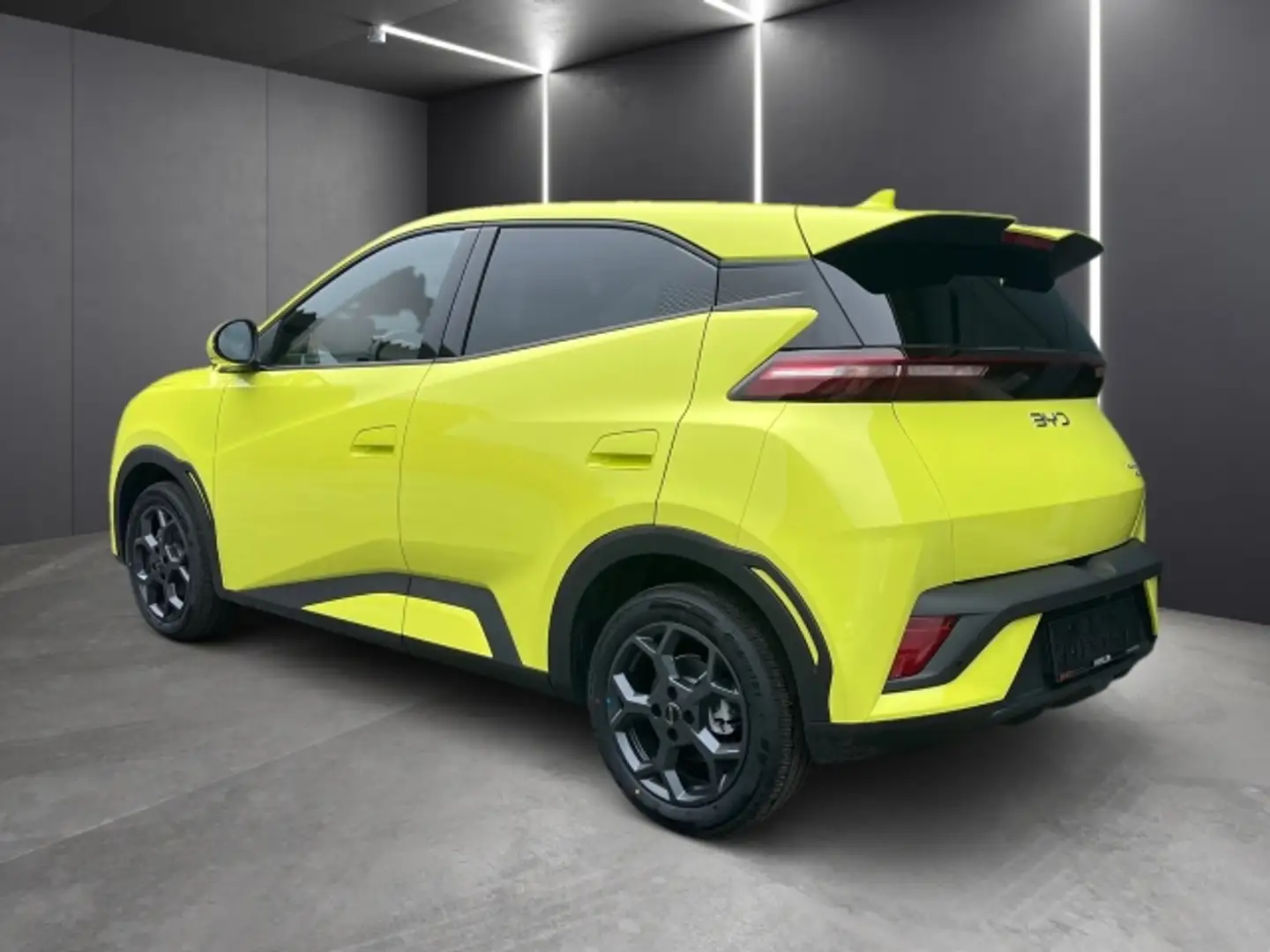 BYD Dolphin Surf Boost Grün - 2