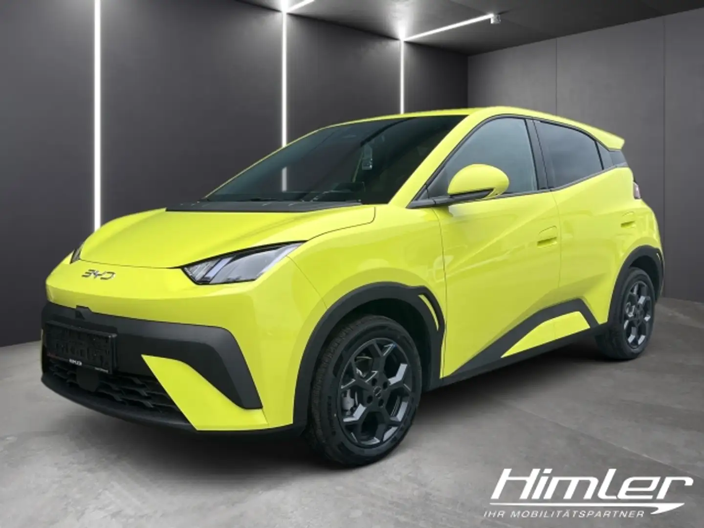 BYD Dolphin Surf Boost Grün - 1