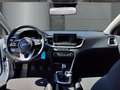 Kia Ceed / cee'd BEST 1.5T GDi Klima Ganzjahresreifen DAB Spurhalte Wit - thumbnail 10