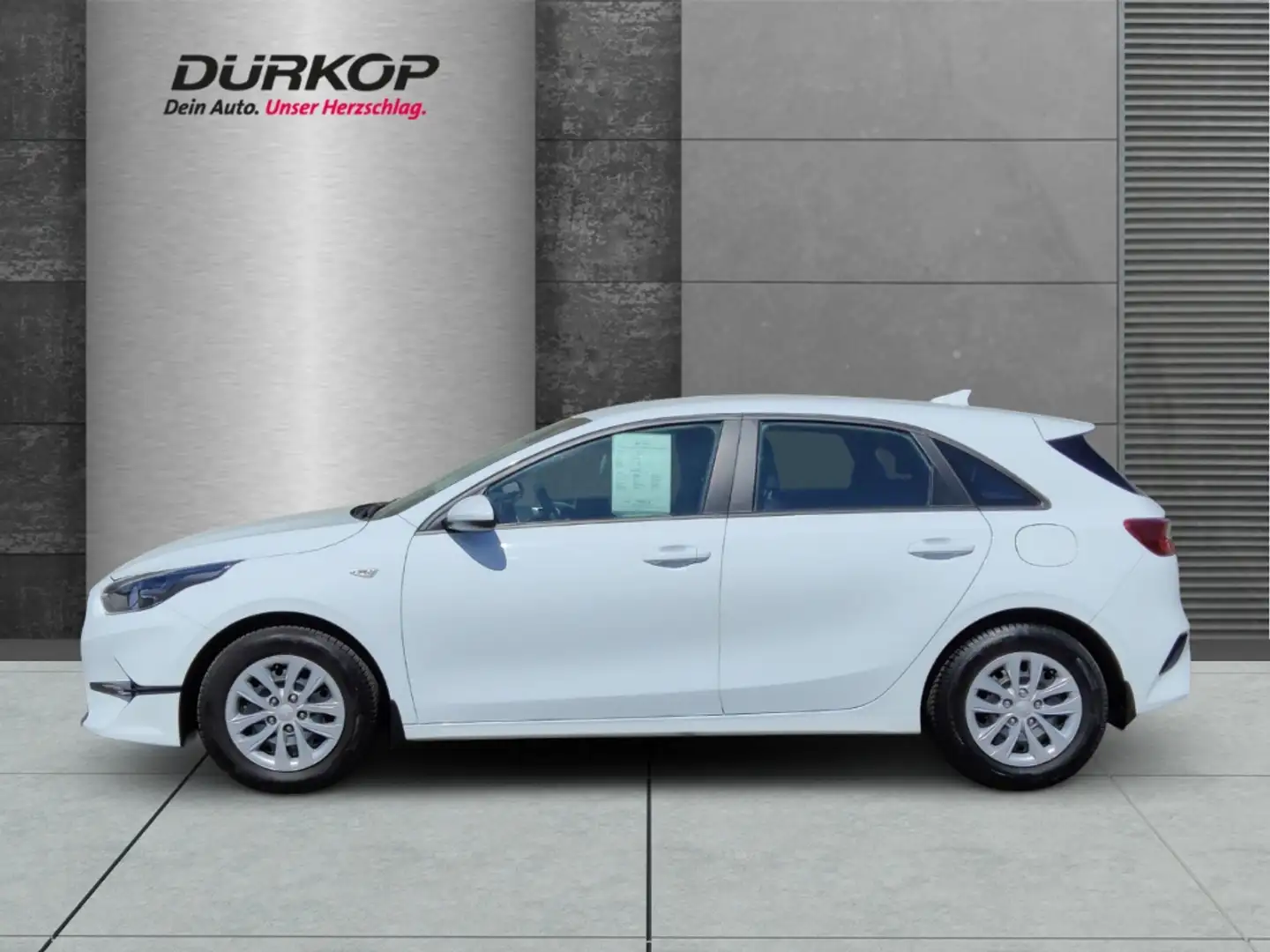 Kia Ceed / cee'd BEST 1.5T GDi Klima Ganzjahresreifen DAB Spurhalte Wit - 2