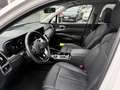 Kia Sorento HEV 4WD AT6 PACE - thumbnail 17