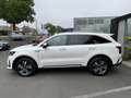 Kia Sorento HEV 4WD AT6 PACE - thumbnail 3