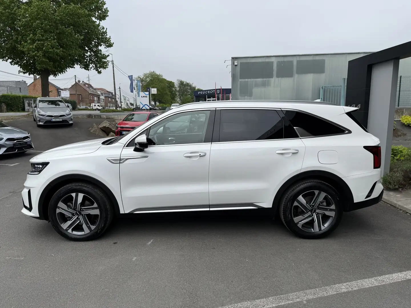 Kia Sorento HEV 4WD AT6 PACE Wit - 2