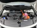 Kia Sorento HEV 4WD AT6 PACE - thumbnail 14