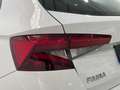 Skoda Fabia 1.0 TSI Ambition 70kW Blanco - thumbnail 19