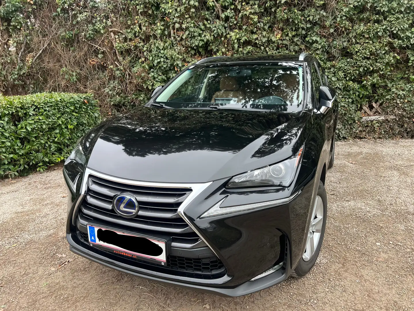 Lexus NX 300h NX 300h Limited Hybrid Aut. Limited Schwarz - 2