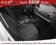 Audi Q2 35d Quatt S-Tr. LED+KLIMAUT+MFL+APS+DAB+ACC Weiß - thumbnail 12