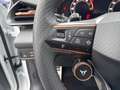 CUPRA Terramar 1.5 e-TSI 150 PS DSG Weiß - thumbnail 13