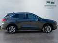 Ford Kuga III 2020 - Kuga 1.5 ecoboost Titanium Business 2wd Grau - thumbnail 4