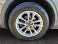 Ford Kuga III 2020 - Kuga 1.5 ecoboost Titanium Business 2wd Grau - thumbnail 16