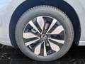 Volkswagen Golf VIII TSI Move Climatronic AID PDC SH LM Grau - thumbnail 12