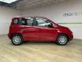 Fiat Panda 1.0 firefly hybrid s&s 70 CV Rojo - thumbnail 4