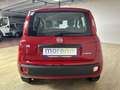 Fiat Panda 1.0 firefly hybrid s&s 70 CV Rojo - thumbnail 6