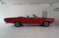 Pontiac GTO Cabriolet 6,5l V8 *H-ZULASSUNG*GUTER ZUSTAND Rouge - thumbnail 5