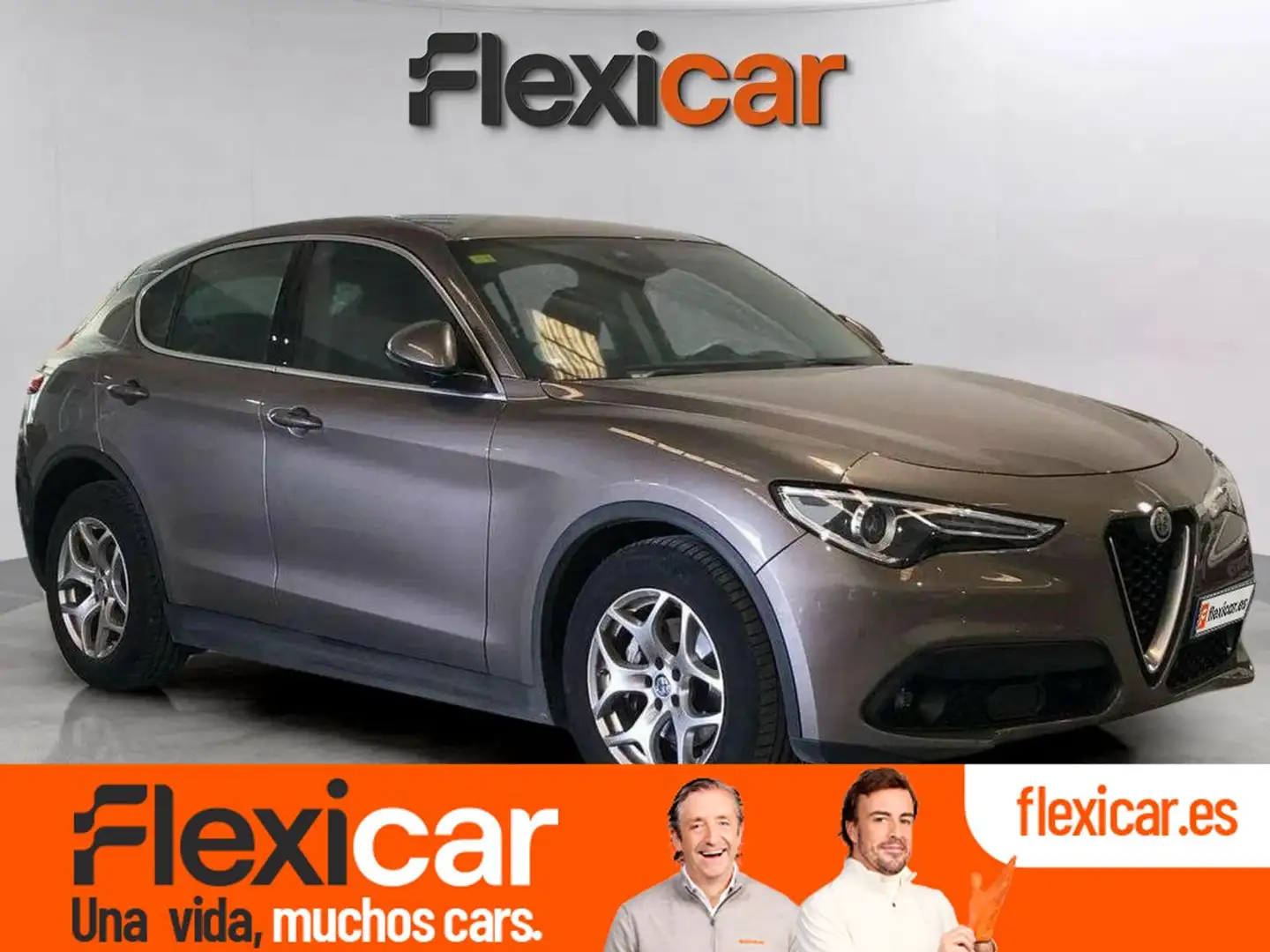 Alfa Romeo Stelvio 2.2 Diésel 110kW (150CV)  RWD Gris - 1