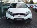Honda CR-V 1.6 i-DTEC Comfort 2WD Bianco - thumbnail 3