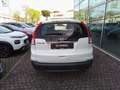 Honda CR-V 1.6 i-DTEC Comfort 2WD Bianco - thumbnail 9