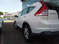 Honda CR-V 1.6 i-DTEC Comfort 2WD Bianco - thumbnail 6