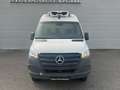 Mercedes-Benz Sprinter 519 3.0 cdi F 37/50 FRIGO 4x4 Alb - thumbnail 2
