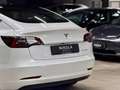 Tesla Model 3 LONG RANGE AWD - FULL SELF DRIVING - FACELIFT Weiß - thumbnail 5